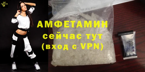 прущие грибы Балахна