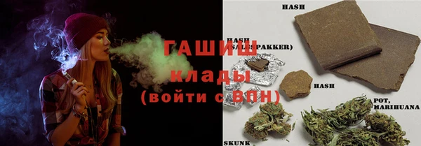 индика Армянск