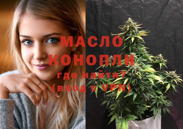 индика Армянск