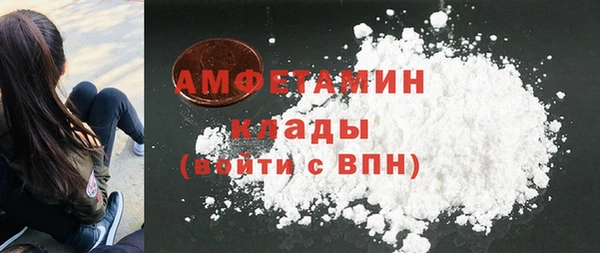 прущие грибы Балахна