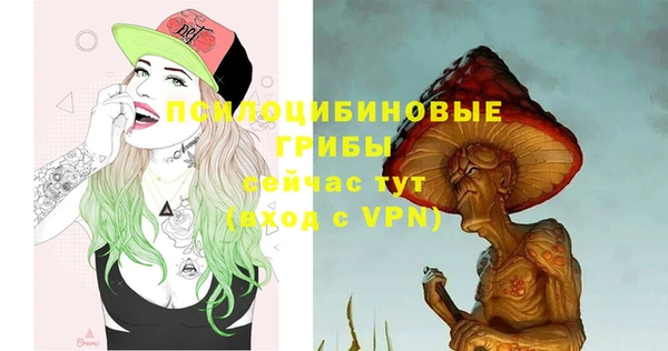 прущая мука Арсеньев