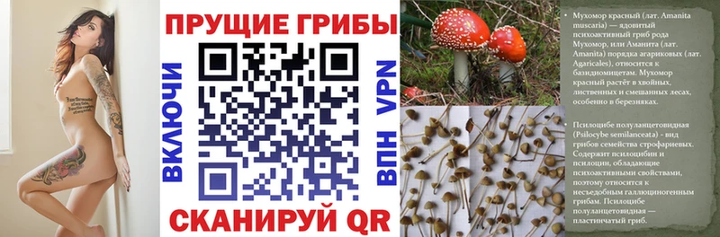 KRAKEN ССЫЛКА  сколько стоит  Тырныауз  Галлюциногенные грибы мухоморы 